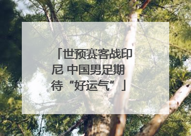 世预赛客战印尼 中国男足期待“好运气”