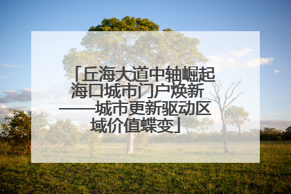 丘海大道中轴崛起 海口城市门户焕新——城市更新驱动区域价值蝶变