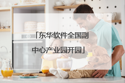 东华软件全国副中心产业园开园