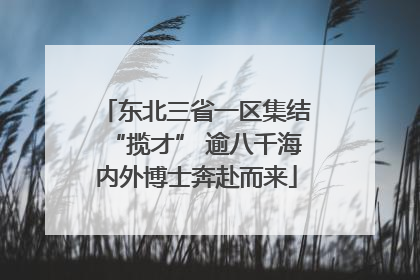 东北三省一区集结“揽才” 逾八千海内外博士奔赴而来