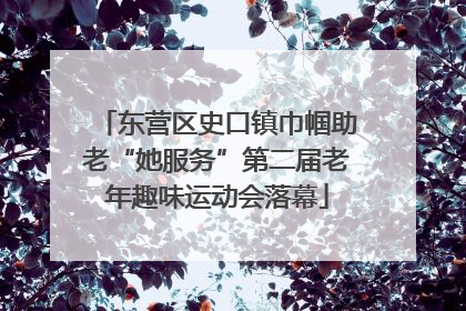 东营区史口镇巾帼助老“她服务”第二届老年趣味运动会落幕