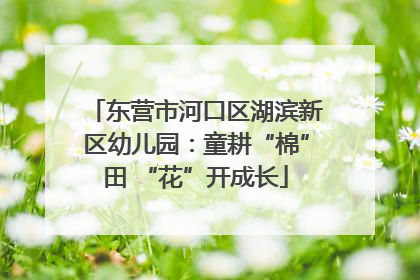 东营市河口区湖滨新区幼儿园：童耕“棉”田 “花”开成长