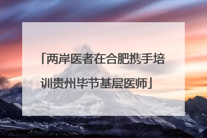 两岸医者在合肥携手培训贵州毕节基层医师