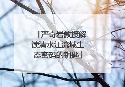 严奇岩教授解读清水江流域生态密码的钥匙