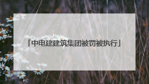 中电建建筑集团被罚被执行