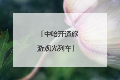 中哈开通旅游观光列车