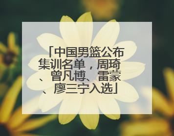 中国男篮公布集训名单，周琦、曾凡博、雷蒙、廖三宁入选