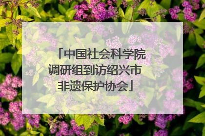 中国社会科学院调研组到访绍兴市非遗保护协会