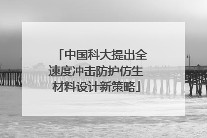 中国科大提出全速度冲击防护仿生材料设计新策略