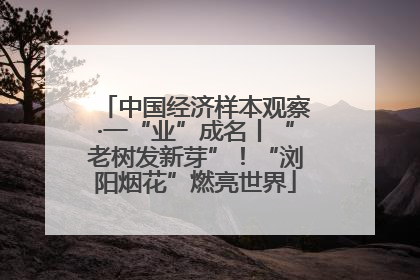 中国经济样本观察·一“业”成名丨“老树发新芽”！“浏阳烟花”燃亮世界