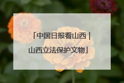 中国日报看山西｜山西立法保护文物