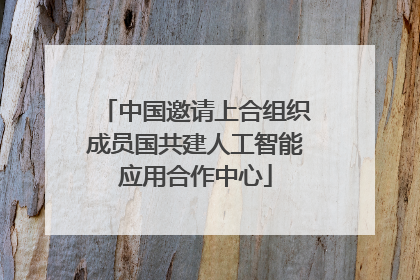 中国邀请上合组织成员国共建人工智能应用合作中心