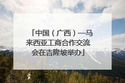 中国（广西）—马来西亚工商合作交流会在吉隆坡举办