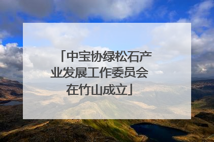 中宝协绿松石产业发展工作委员会在竹山成立