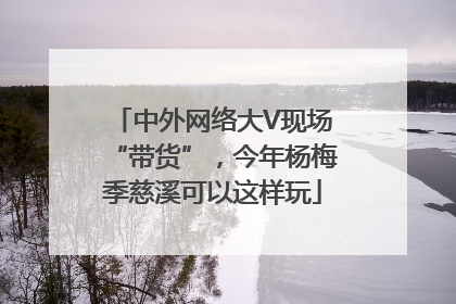 中外网络大V现场“带货”，今年杨梅季慈溪可以这样玩