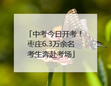 中考今日开考！枣庄6.3万余名考生奔赴考场