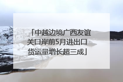 中越边境广西友谊关口岸前5月进出口货运量增长超三成