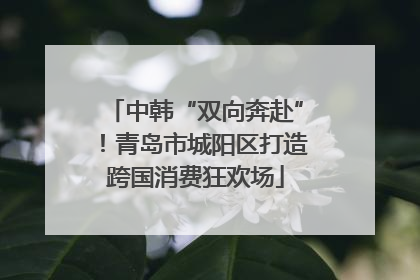 中韩“双向奔赴”！青岛市城阳区打造跨国消费狂欢场