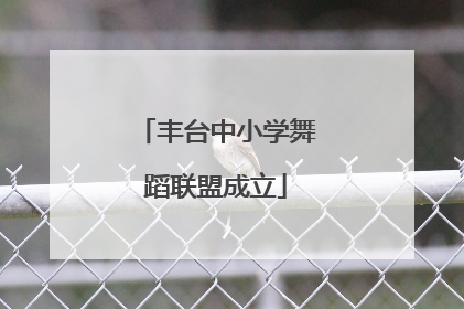 丰台中小学舞蹈联盟成立
