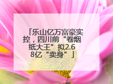 乐山亿万富豪实控，四川前“卷烟纸大王”拟2.68亿“卖身”