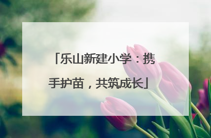 乐山新建小学：携手护苗，共筑成长
