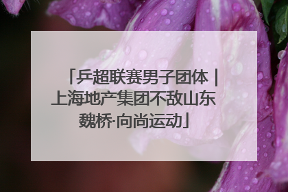 乒超联赛男子团体｜上海地产集团不敌山东魏桥·向尚运动