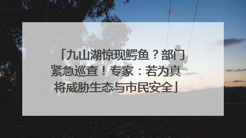 九山湖惊现鳄鱼？部门紧急巡查！专家：若为真将威胁生态与市民安全