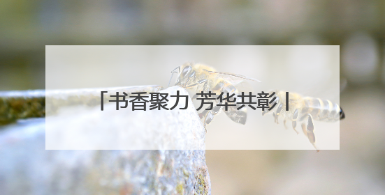 书香聚力 芳华共彰丨湖南图书馆举办文旅志愿者服务队表彰活动
