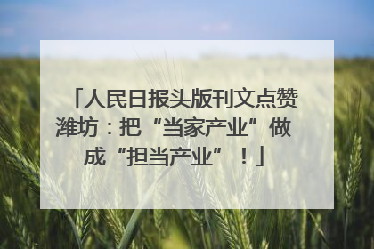 人民日报头版刊文点赞潍坊：把“当家产业”做成“担当产业”！