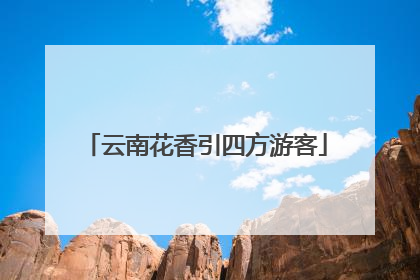 云南花香引四方游客