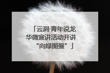 云洞·青年说龙华微宣讲活动开讲“向绿图强”