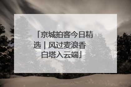 京城拍客今日精选｜风过麦浪香 白塔入云端