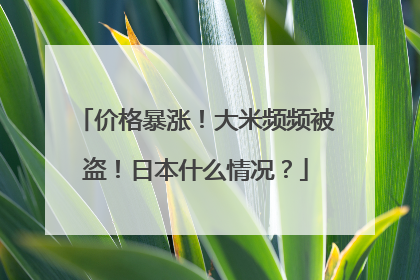 价格暴涨！大米频频被盗！日本什么情况？