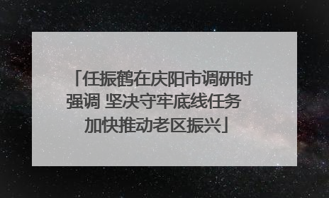 任振鹤在庆阳市调研时强调 坚决守牢底线任务 加快推动老区振兴