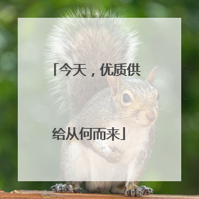 今天，优质供给从何而来