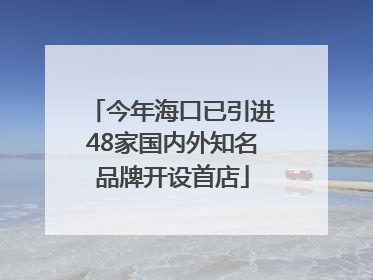 今年海口已引进48家国内外知名品牌开设首店
