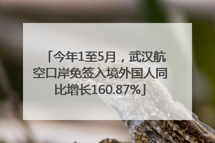 今年1至5月，武汉航空口岸免签入境外国人同比增长160.87%