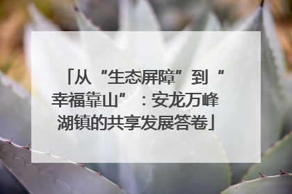 从“生态屏障”到“幸福靠山”：安龙万峰湖镇的共享发展答卷