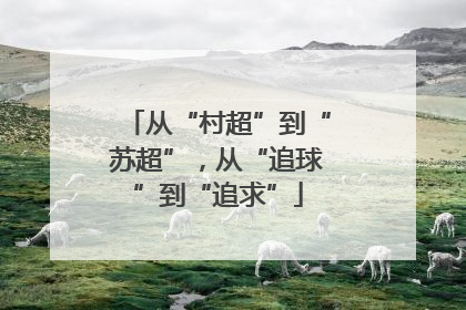 从“村超”到“苏超”，从“追球”到“追求”