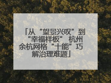 从“望景兴叹”到“幸福样板” 杭州余杭网格“十能”巧解治理难题