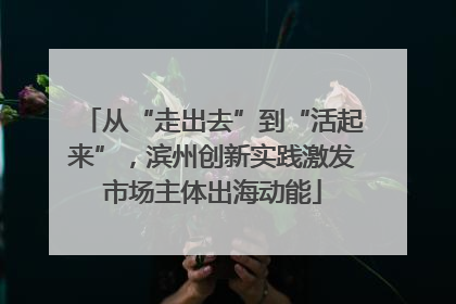 从“走出去”到“活起来”，滨州创新实践激发市场主体出海动能