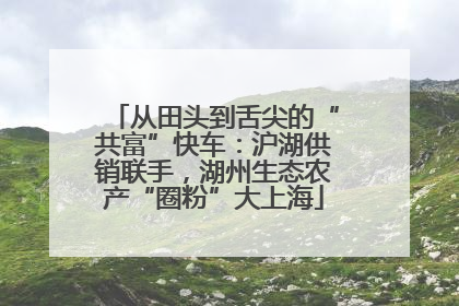 从田头到舌尖的“共富”快车：沪湖供销联手，湖州生态农产“圈粉”大上海