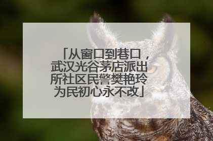 从窗口到巷口，武汉光谷茅店派出所社区民警樊艳玲为民初心永不改