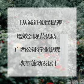 从减证便民提速增效到规范优质 广西公证行业锐意改革蓬勃发展