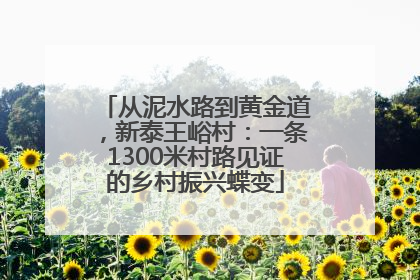 从泥水路到黄金道，新泰王峪村：一条1300米村路见证的乡村振兴蝶变