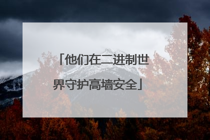 他们在二进制世界守护高墙安全