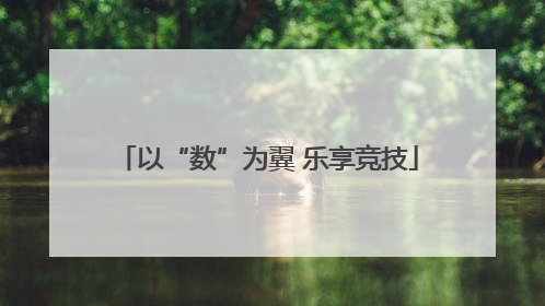 以“数”为翼 乐享竞技