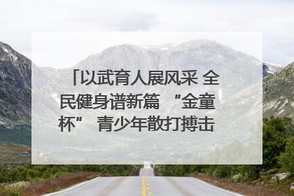 以武育人展风采 全民健身谱新篇 “金童杯” 青少年散打搏击邀请赛圆满落幕