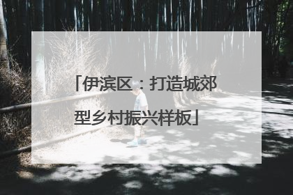 伊滨区：打造城郊型乡村振兴样板