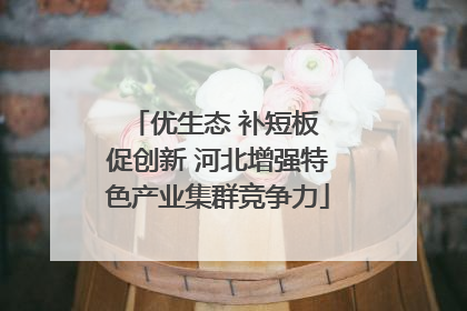 优生态 补短板 促创新 河北增强特色产业集群竞争力